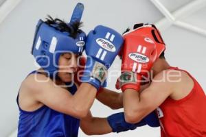TORNEO DE BARRIOS . BOX