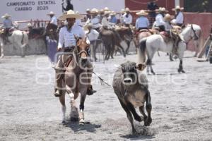 TLAXCALA . CAMPEONATO ESTATAL CHARRO