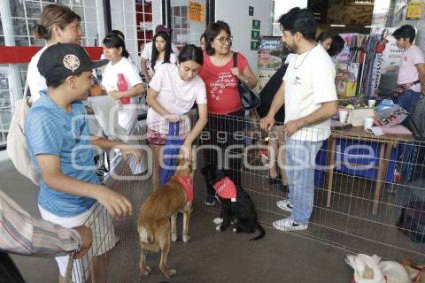 FUNDACIÓN CUENTA CONMIGO