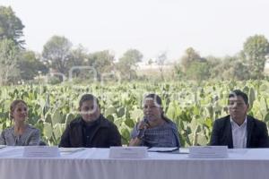 SAN ANDRÉS CHOLULA . FERIA DEL NOPAL 2025