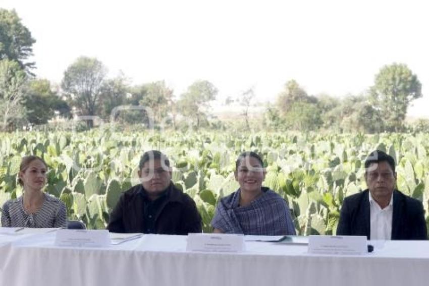SAN ANDRÉS CHOLULA . FERIA DEL NOPAL 2025