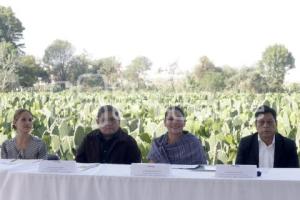 SAN ANDRÉS CHOLULA . FERIA DEL NOPAL 2025