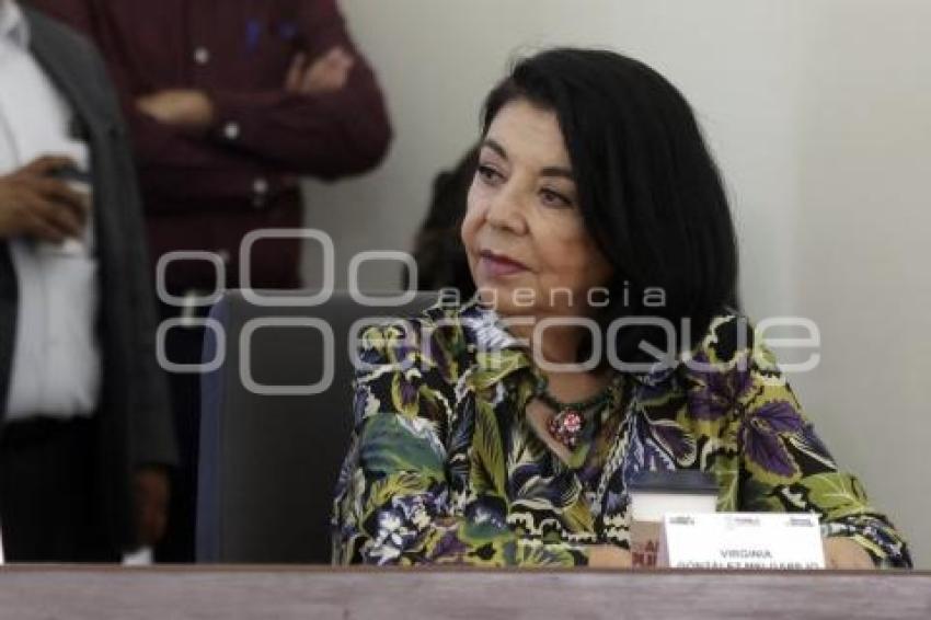 VIRGINIA GONZÁLEZ MELGAREJO