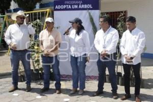 SAN ANDRÉS CHOLULA . ADOPTA UN ÁRBOL