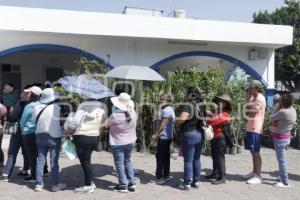 SAN ANDRÉS CHOLULA . ADOPTA UN ÁRBOL