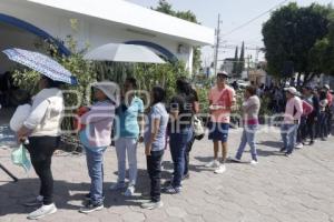 SAN ANDRÉS CHOLULA . ADOPTA UN ÁRBOL