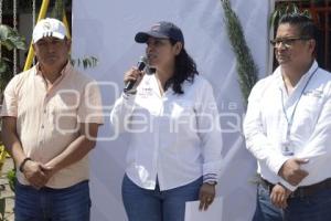 SAN ANDRÉS CHOLULA . ADOPTA UN ÁRBOL