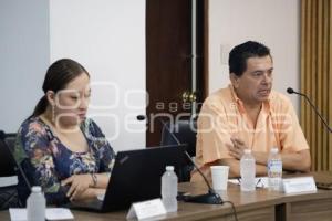 INE . CONSEJO LOCAL