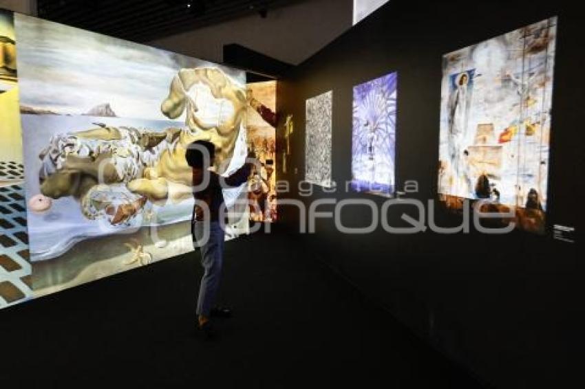 EXPOSICIÓN DALÍ