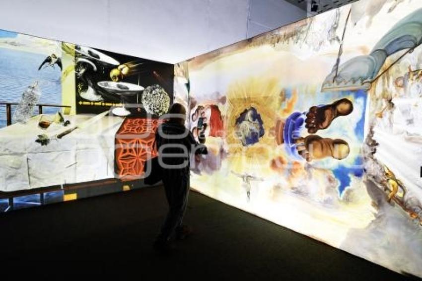 EXPOSICIÓN DALÍ