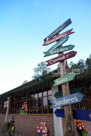 TLAXCALA . EJIDO SAN JOSÉ
