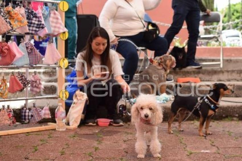 TLAXCALA . EXPO TU MASCOTA