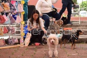TLAXCALA . EXPO TU MASCOTA