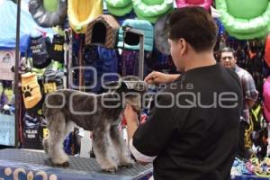 TLAXCALA . EXPO TU MASCOTA