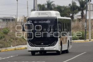 RUTA . LÍNEA 4