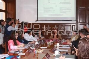 COMISIÓN DE PROTECCIÓN CIVIL