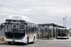 RUTA . LÍNEA 4