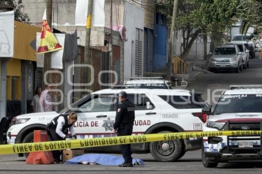 NOTA ROJA . MUJER ATROPELLADA