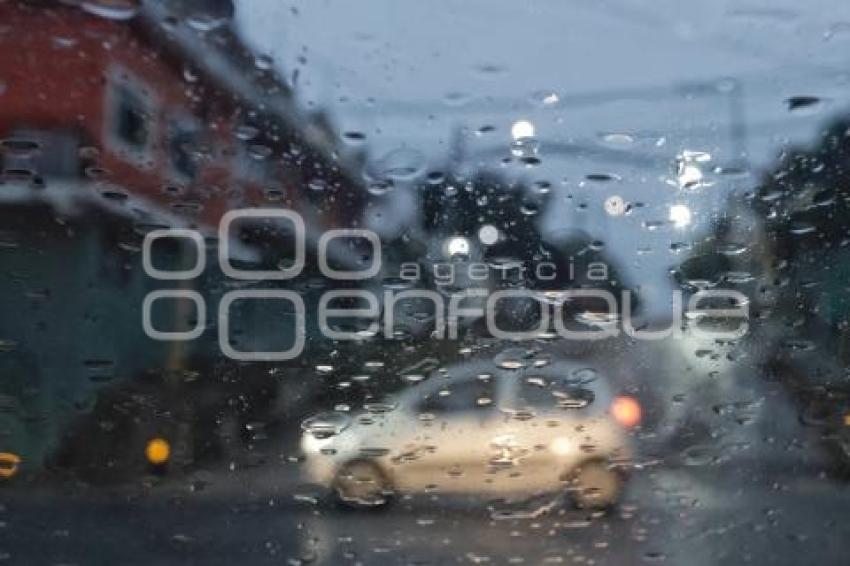 LUVIA