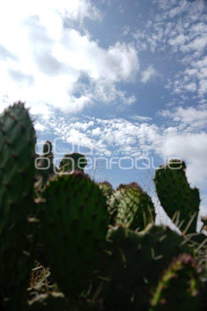 TLAXCALA . NUBES CIRRUS