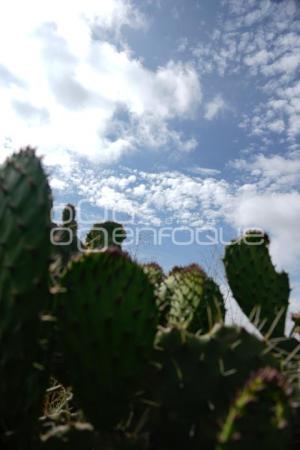 TLAXCALA . NUBES CIRRUS