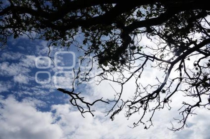 TLAXCALA . NUBES CIRRUS