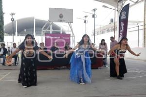 IMACP . NODOS CULTURALES