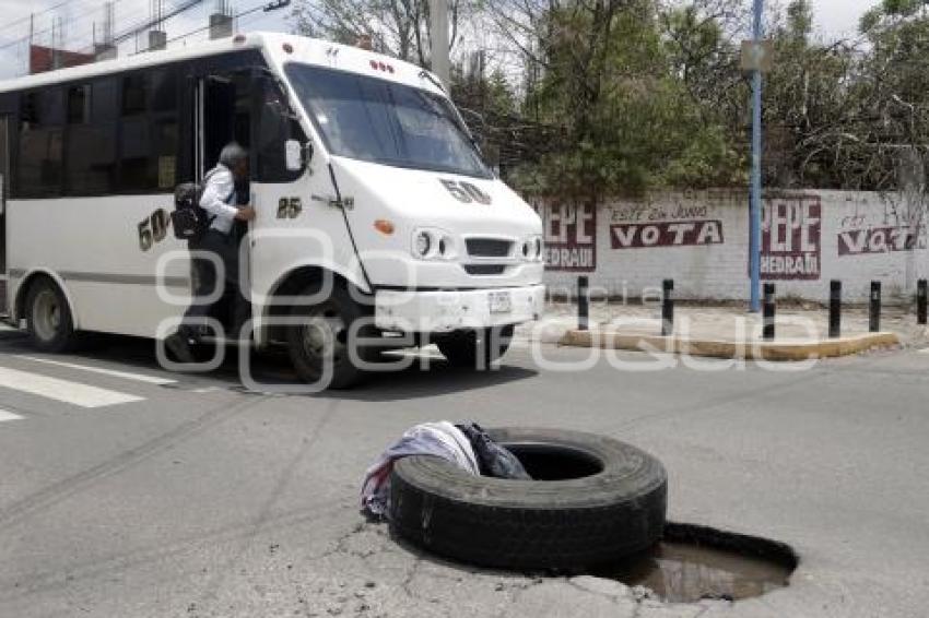 BACHE