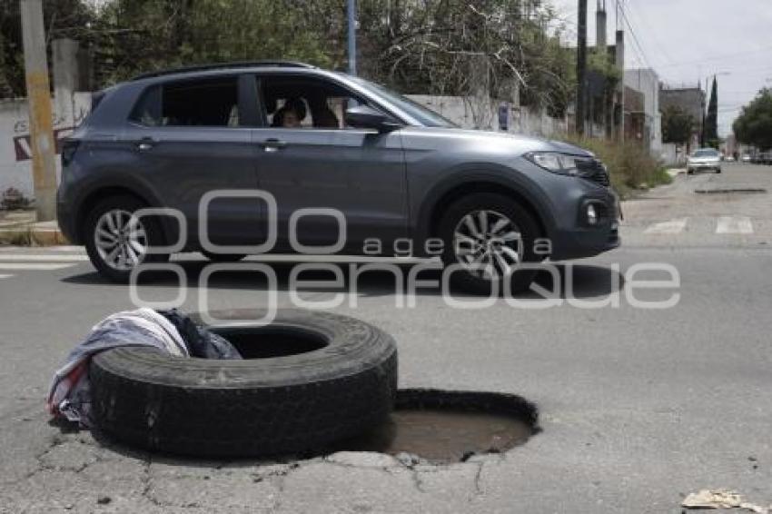 BACHE