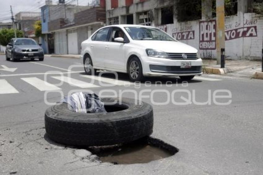 BACHE