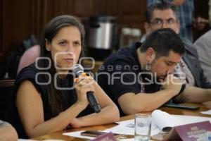 COMISIÓN DE ARTE Y CULTURA
