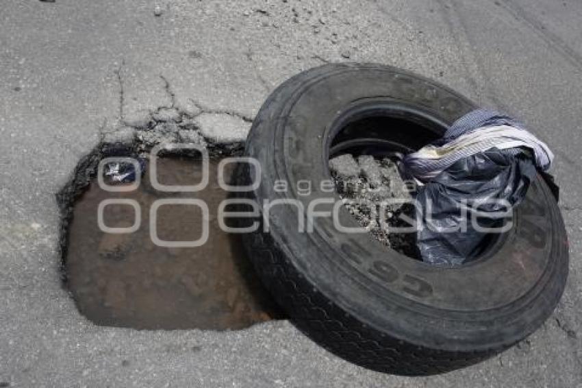 BACHE