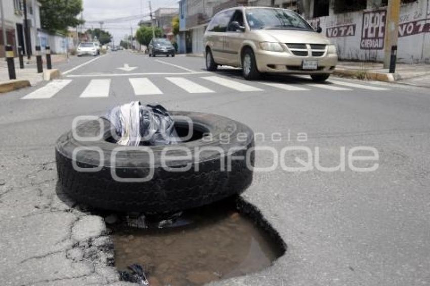 BACHE