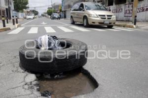 BACHE