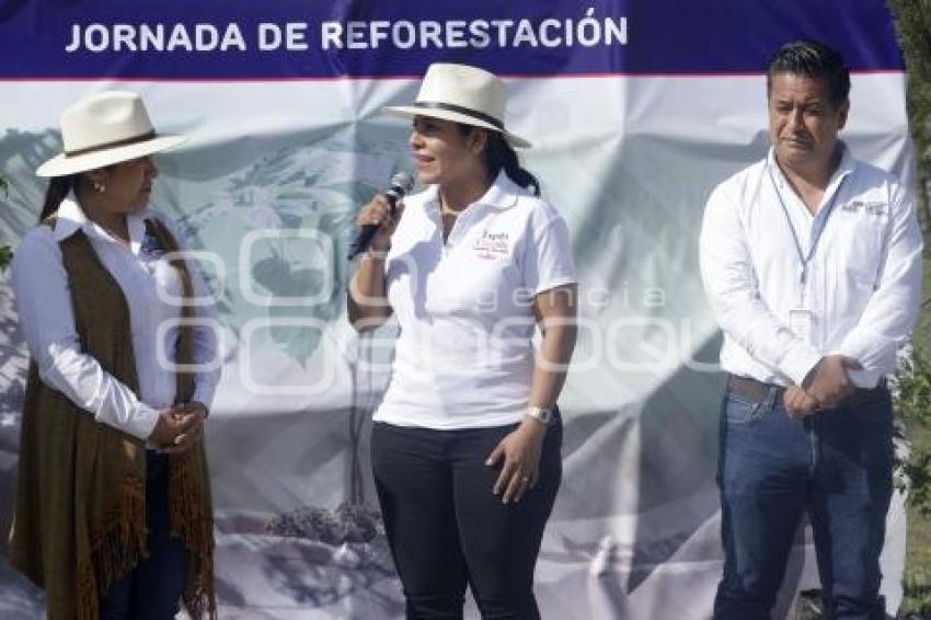 SAN ANDRÉS CHOLULA . JORNADA DE REFORESTACIÓN