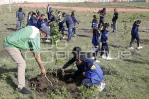 SAN ANDRÉS CHOLULA . JORNADA DE REFORESTACIÓN