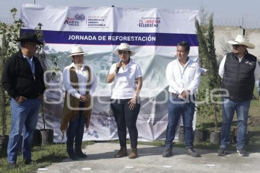 SAN ANDRÉS CHOLULA . JORNADA DE REFORESTACIÓN