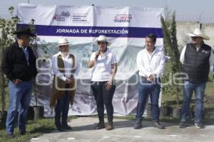 SAN ANDRÉS CHOLULA . JORNADA DE REFORESTACIÓN