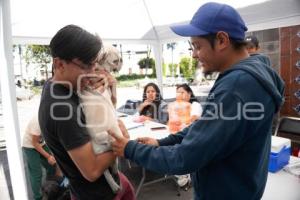 TLAXCALA . CAMPAÑA DE VACUNACIÓN ANTIRRÁBICA