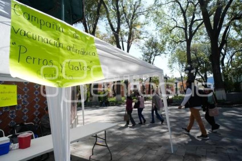 TLAXCALA . CAMPAÑA DE VACUNACIÓN ANTIRRÁBICA