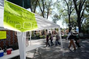 TLAXCALA . CAMPAÑA DE VACUNACIÓN ANTIRRÁBICA