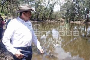 GOBIERNO ESTATAL . REFORESTACIÓN