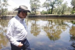 GOBIERNO ESTATAL . REFORESTACIÓN