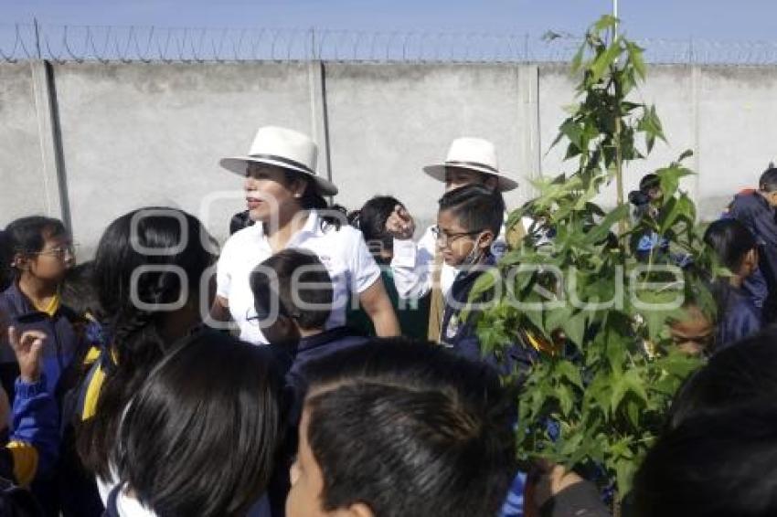 SAN ANDRÉS CHOLULA . JORNADA DE REFORESTACIÓN