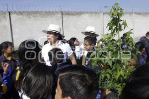 SAN ANDRÉS CHOLULA . JORNADA DE REFORESTACIÓN