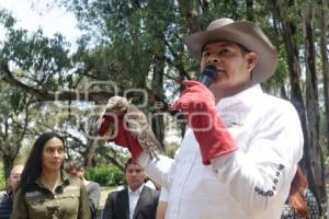 GOBIERNO ESTATAL . REFORESTACIÓN