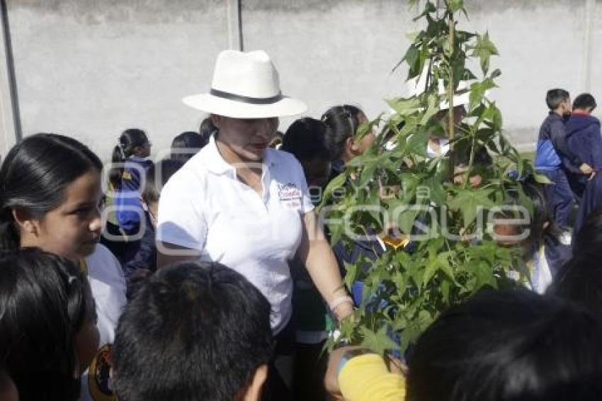 SAN ANDRÉS CHOLULA . JORNADA DE REFORESTACIÓN