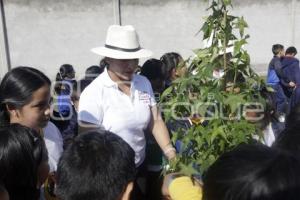 SAN ANDRÉS CHOLULA . JORNADA DE REFORESTACIÓN