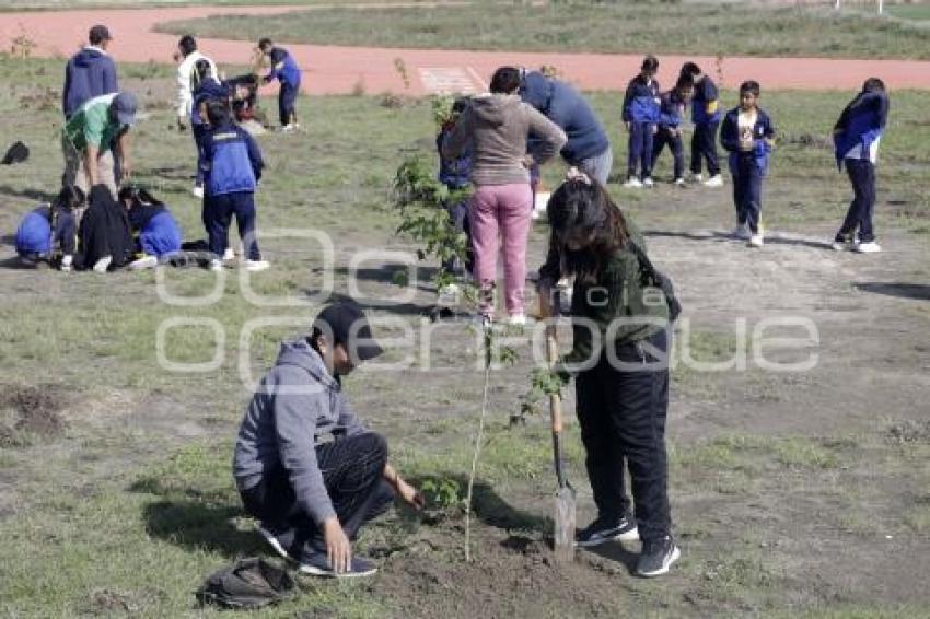 SAN ANDRÉS CHOLULA . JORNADA DE REFORESTACIÓN