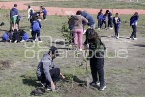 SAN ANDRÉS CHOLULA . JORNADA DE REFORESTACIÓN